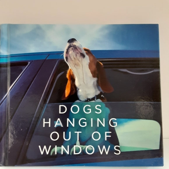 Dogs Hanging out of Windows - Picture 1 of 11